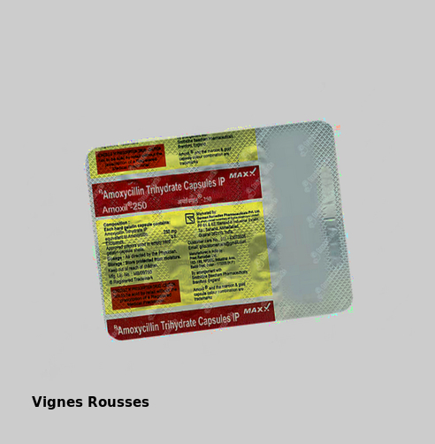 Amoxil amoxicilline générique