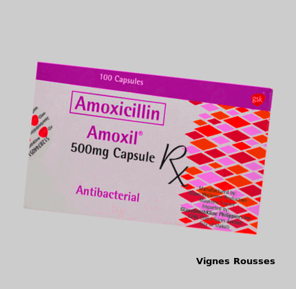 Amoxil générique amoxicilline