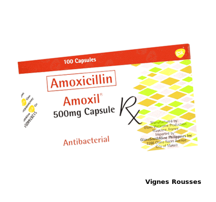 Amoxil générique amoxicilline