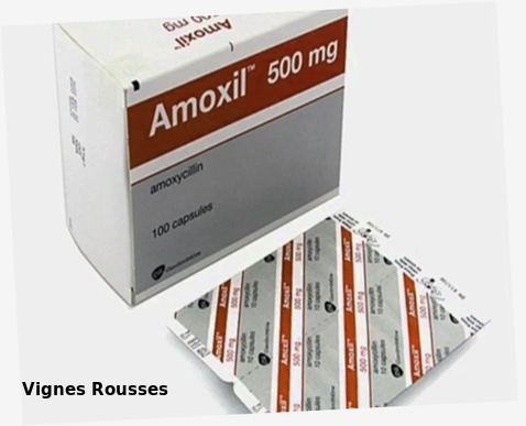 Amoxil amoxicilline 500mg