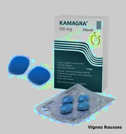 kamagra 100 mg