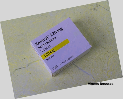 xenical orlistat