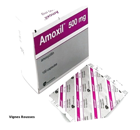 amoxil amoxicilline